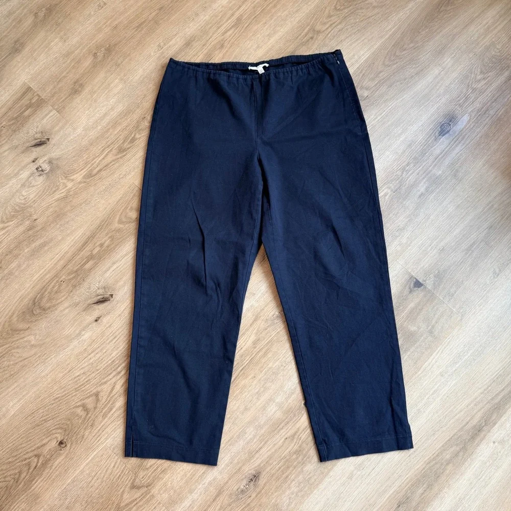 NWOT Eileen Fisher Petite Organic Cotton Stretch Side Zip Crop Pants Black PM